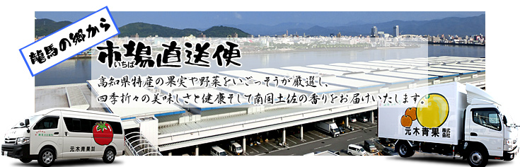 高知市中央売卸市場便