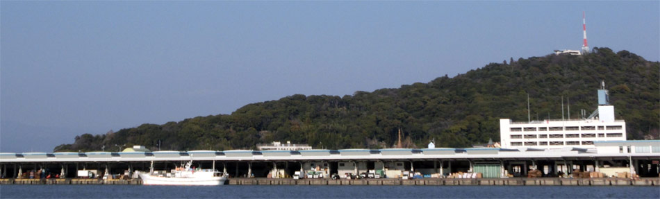 高知市中央売卸市場