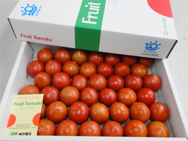 春野トマト