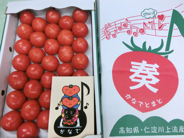 奏トマト
