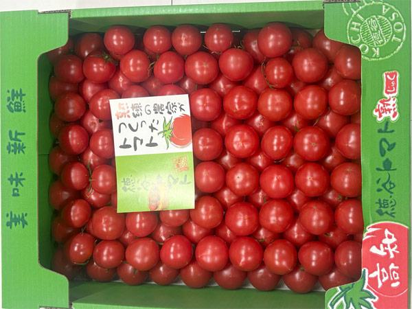 徳谷トマト
